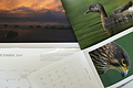 Craig Potton's 2009 Calendars